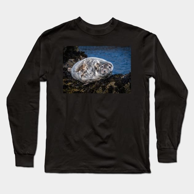 Grey Seal on the Rocks Long Sleeve T-Shirt by TonyNorth